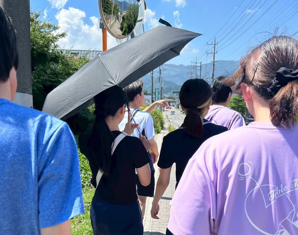 ガイスターの画像